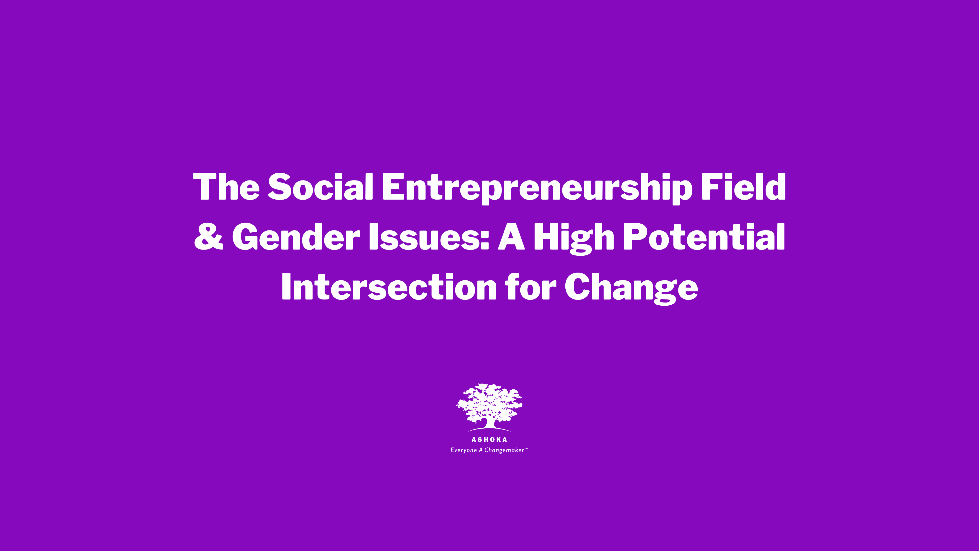 The Social Entrepreneurship Field & Gender Issues A High Potential Intersection for Change