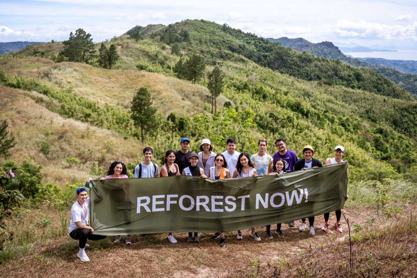 Reforest now!