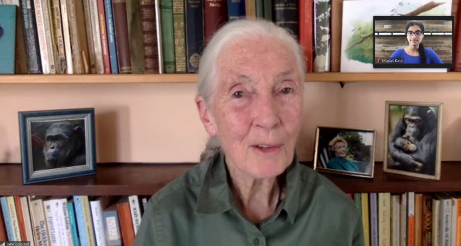 Jane Goodall