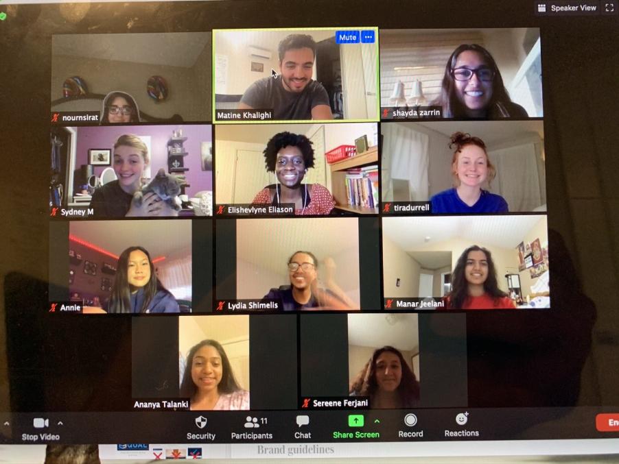 Matine in a Zoom meeting with his team. 