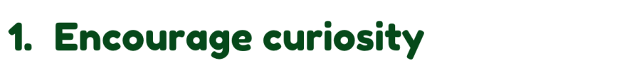1. Encourage curiosity