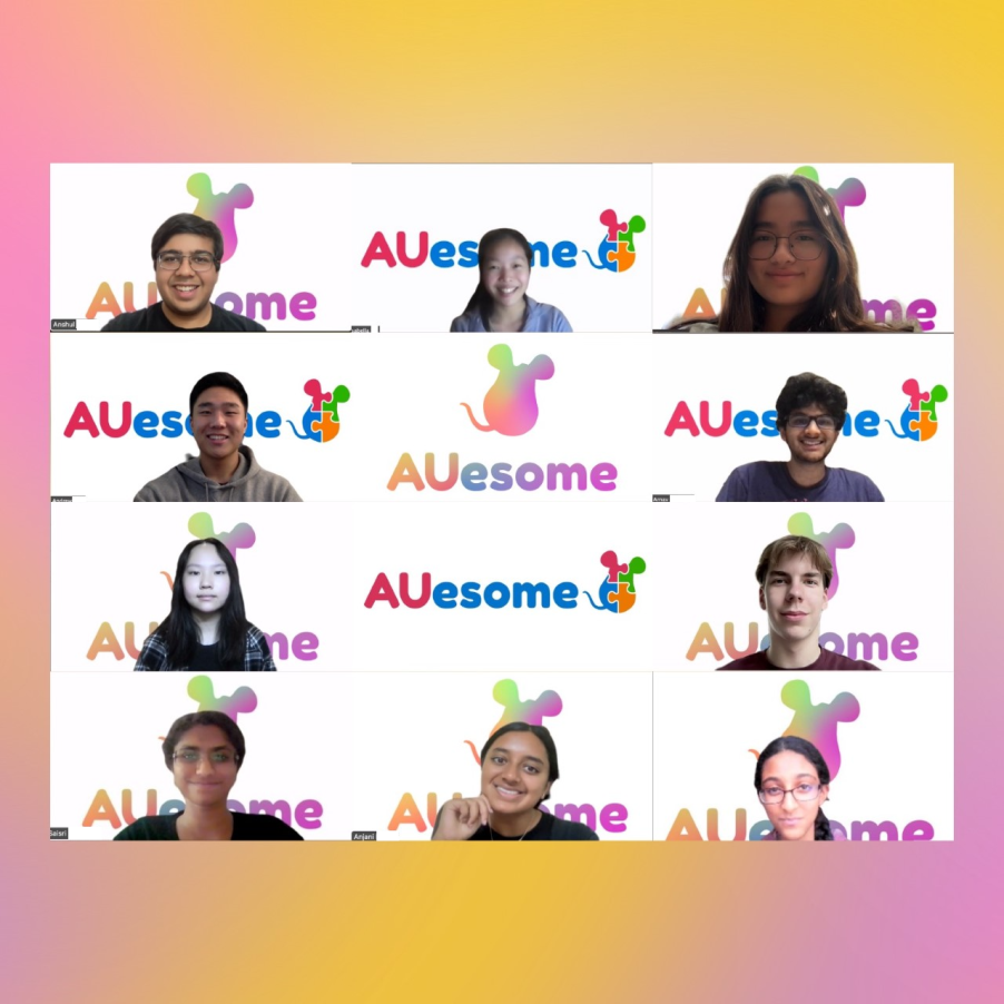 The AUesome team on a virtual meeting with matching backgrounds