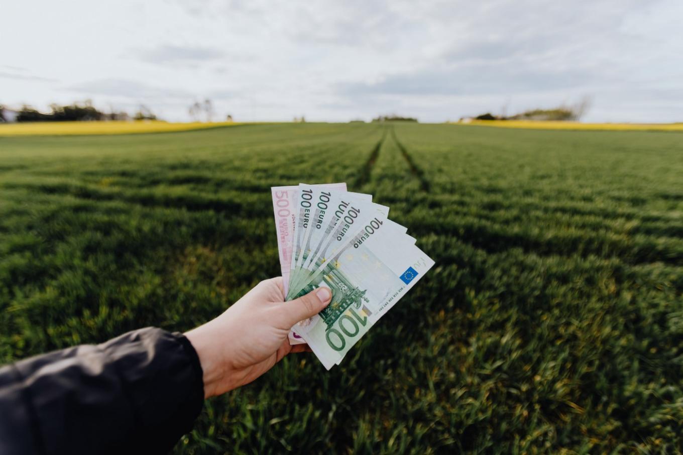 A grassy land in the background and a hand full of money in the middle of the picture.
