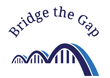 Bridge the Gap
