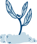 donation type2